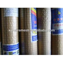 Maillage galvanisé soudé par ISO 9001: 2000 (usine)